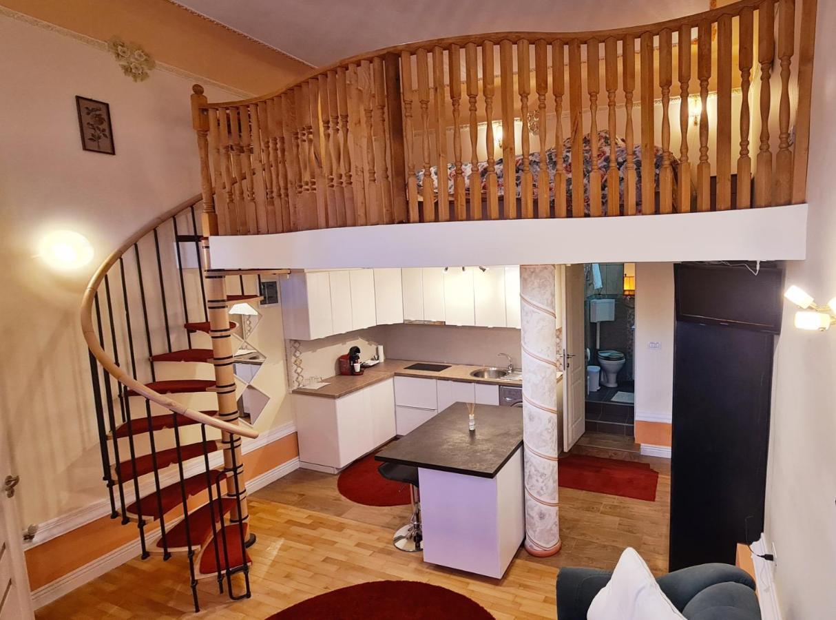 River Residence Тімішоара Екстер'єр фото
